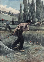 Illustration of Damblans