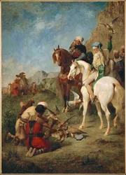 Falcon Hunt in Algiers