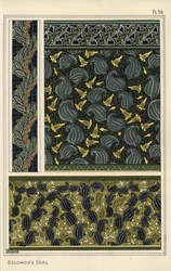Solomon