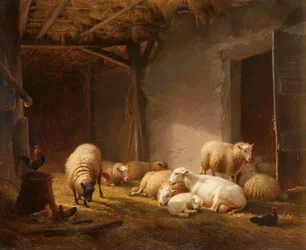 A Sunlit Barn with Ewes, Lambs and Chickens