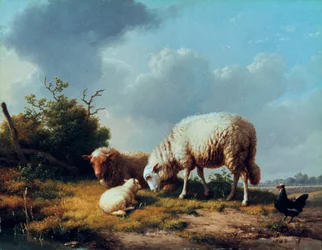 Sheep and Poultry in a Landscape