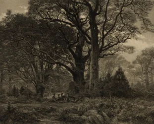 Forest of Fontainebleau