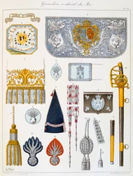 Grenadiers à Cheval du Roi, Insignia