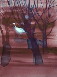 White Crane