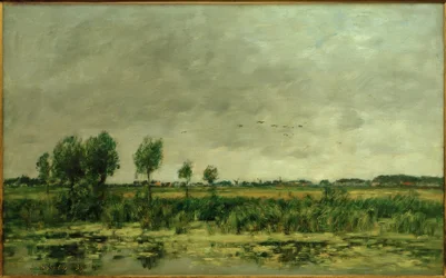 Moor near Honfleur