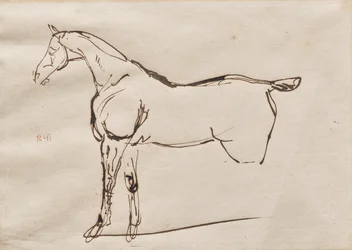 Study of a Horse