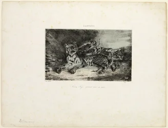 Young Tiger Playing with its Mother