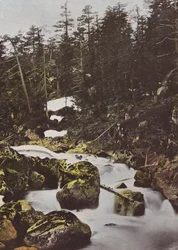 Cauterets, Upper Fall of Pont d