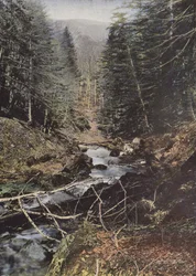 Luchon, Upper Valley of the Pique
