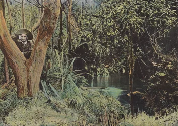 Interior View of the Island