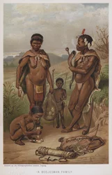 A Bosjesman Family