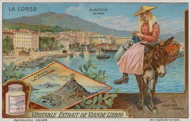 Ajaccio, Iles Sanguinaires Archipelago and a Fruit-Seller