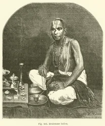 Indian Brahmin