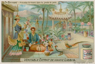 Burmese Princess in the Gardens of a Palace