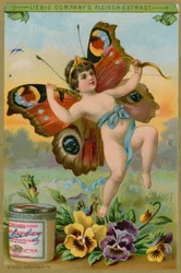 Butterfly Cherub with Pansies