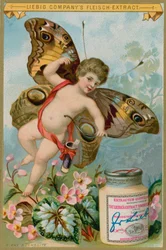 Butterfly Cherub with Pink Flowers