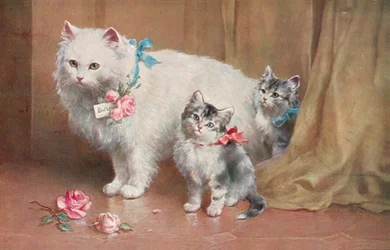 Cat Postcard