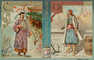 Chinese and Dalmatian