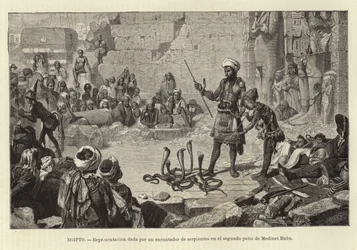 Egypt - Demonstration by a Snake Charmer