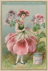 Geranium Flower Girl
