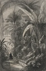 Grande Serre of the Museum of Paris