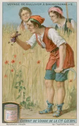 Gulliver is Found by a Huge Farmer