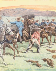 Hunting Rabbits in Australia