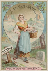 In the Countryside