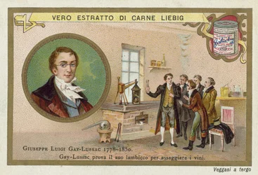 Joseph Louis Gay-Lussac, French chemist and physicist