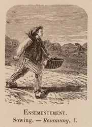 Le Vocabulaire Illustre: Ensemencement; Sowing; Besamung