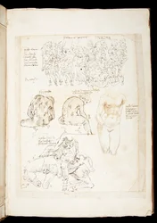 Drawing including a view of the Spinario from the back, late 15th century