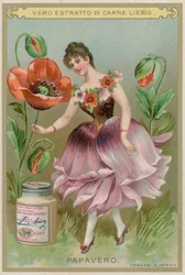 Poppy Flower Girl