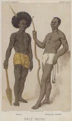 Black Race, Papuan, Black of Guinea