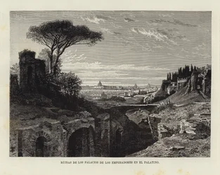 Ruins of the Palaces of the Emperors on the Palatine
