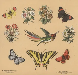 Scraps for Juveniles