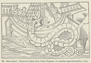 Sea-serpent