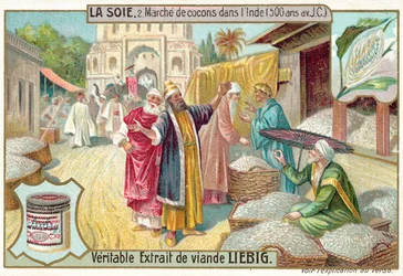 Silk cocoon market in India, 500 BC