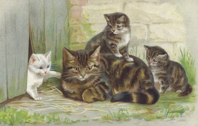 Tabby Cat with Three Kittens