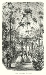 The Floral World