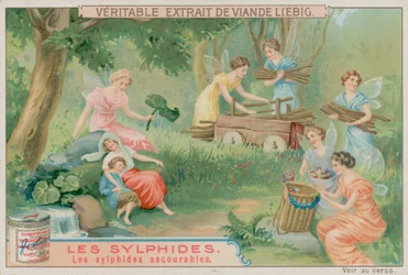The Helpful Sylphs
