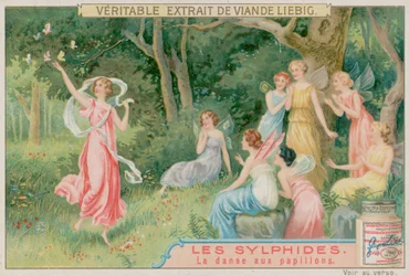 The Sylphs Dance with Butterflies