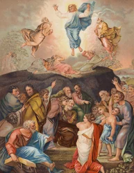 The Transfiguration