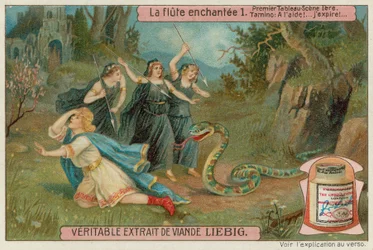 Three Attendants on the Queen of Night Kill a Snake to Save Tamino