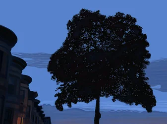 9th Street and Oak Tree At Dawn