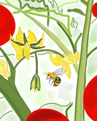 Bee on Vine