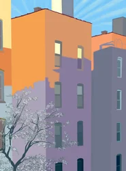 Building Shadows on Building