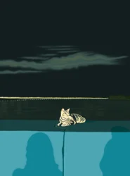 Cat On Wall, Panama City