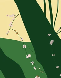 Cherry Blossoms, 2015
