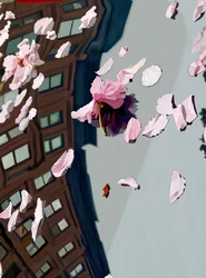 Cherry Blossoms Blown On Car Windshield