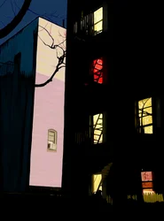 Colorful Windows of Apartment Buildings at Night, Brooklyn